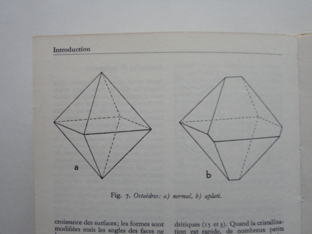 Fig. 5: Stefano Faoro and Joëlle Tuerlinckx