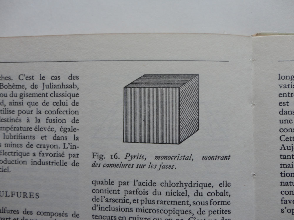 Fig. 6: Stefano Faoro and Joëlle Tuerlinckx